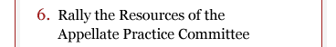 6. Rally the resources of the Appellate Practice Committee